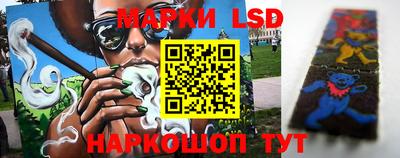 прущие крисы Будённовск