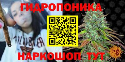 прущие крисы Будённовск