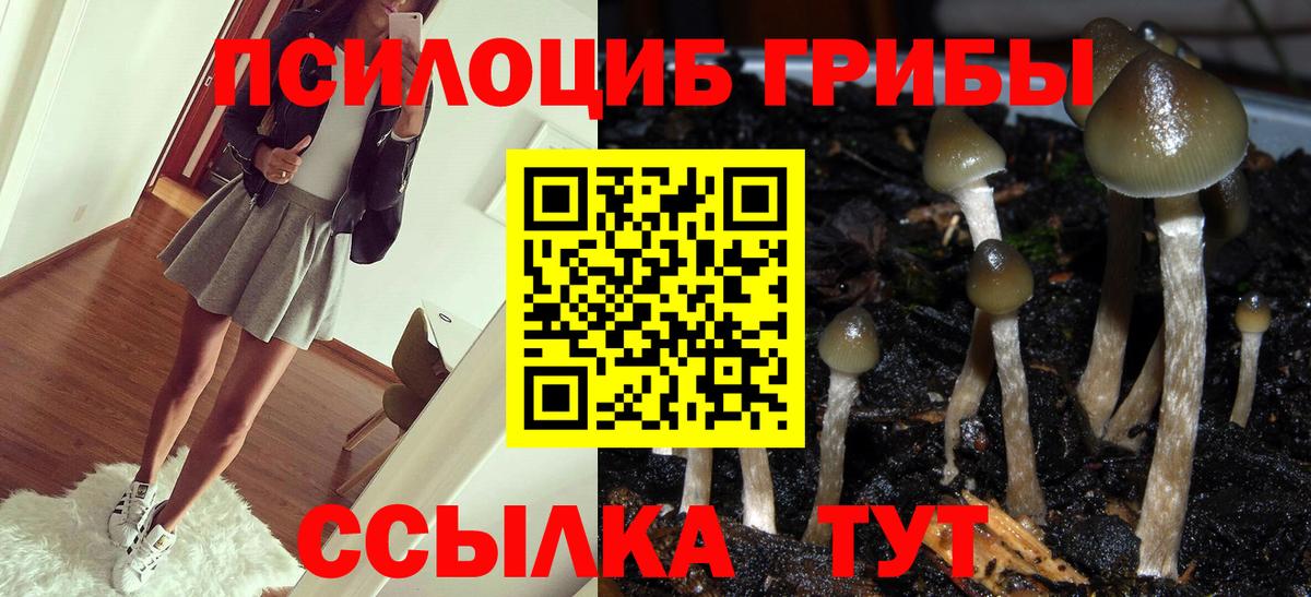 Кузнецк  Галлюциногенные грибы мухоморы  где купить наркоту  Псилоцибиновые грибы мухоморы  Вход с VPN 